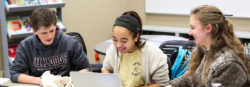 Malone Schools Online Network